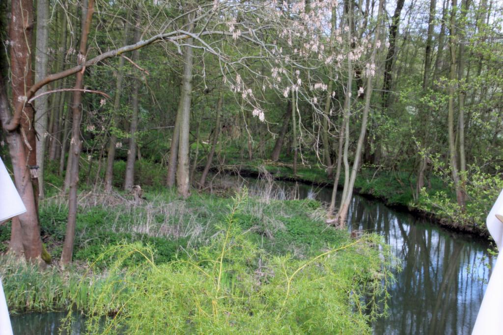 Pension Spreewaldhof Leipe Exteriér fotografie