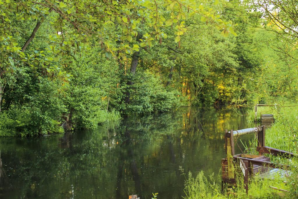 Pension Spreewaldhof Leipe Exteriér fotografie